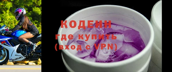 гашик Пестово