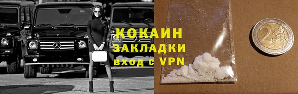 дмт Пересвет