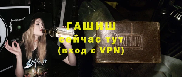 гашик Пестово