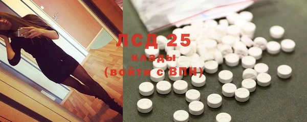 дмт Пересвет