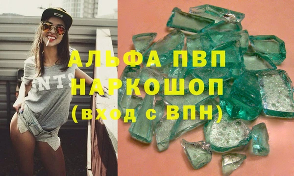 дмт Пересвет