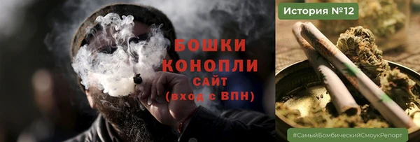дмт Пересвет