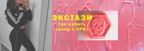 дмт Пересвет