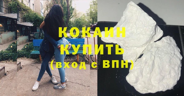 гашик Пестово