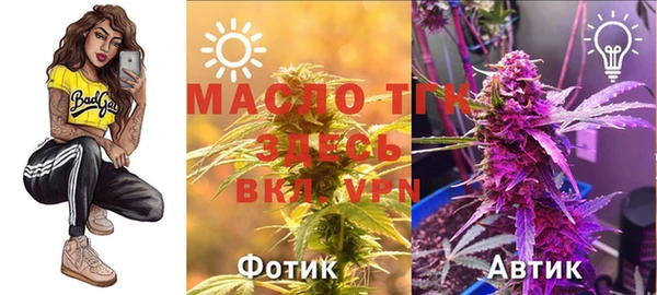 гашик Пестово