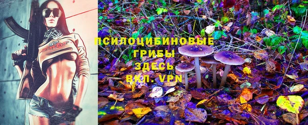 дмт Пересвет