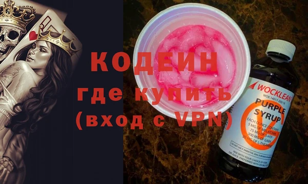 дмт Пересвет