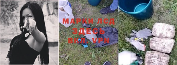 гашик Пестово