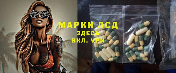 дмт Пересвет