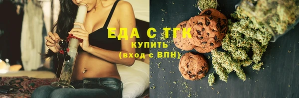 гашик Пестово