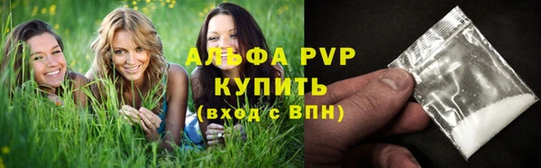 дмт Пересвет