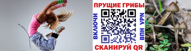 Псилоцибиновые грибы Psilocybine cubensis  Купить где  Каспийск 